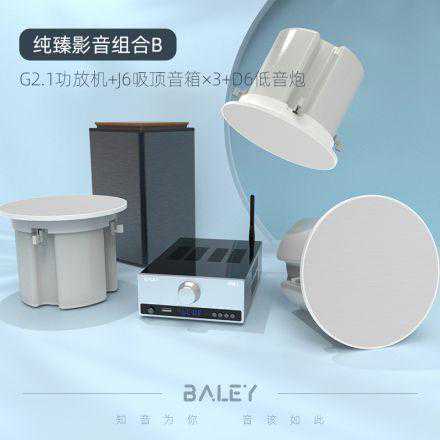 2022吸顶音响选购指南，经验大分享