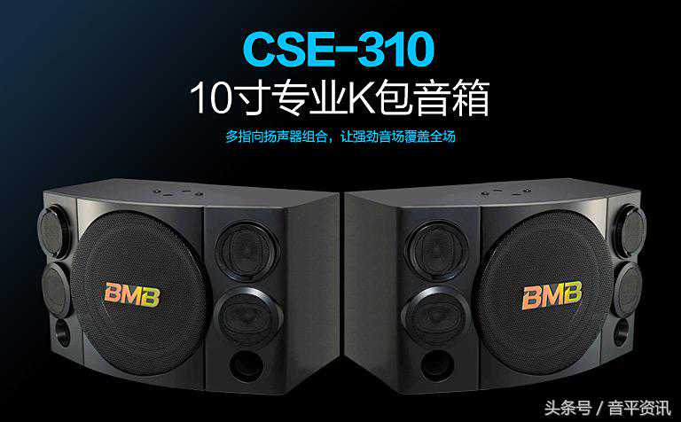 BMB CSE310 10寸专业KTV音响卡拉OK音箱
