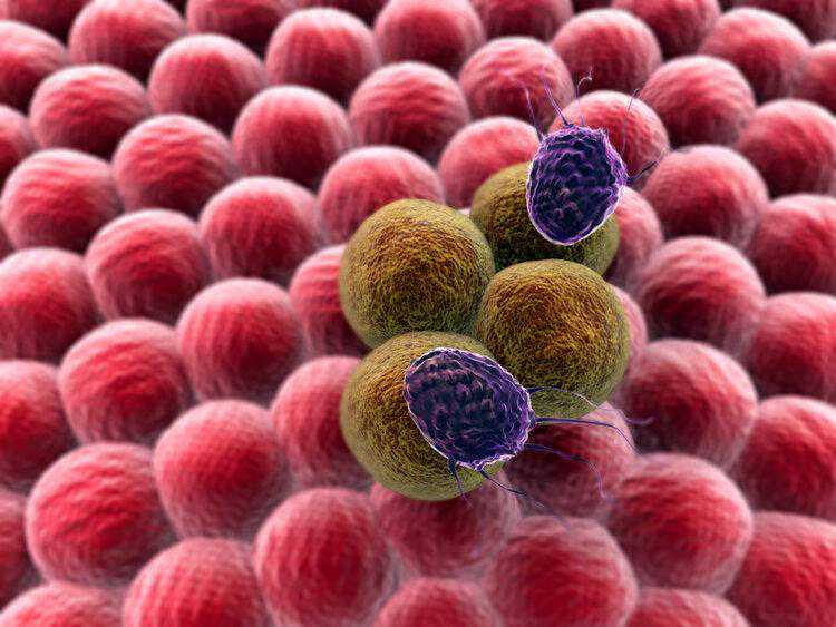 120万一针抗癌药，中国首例CAR-T治疗患者怎么样了，值吗？