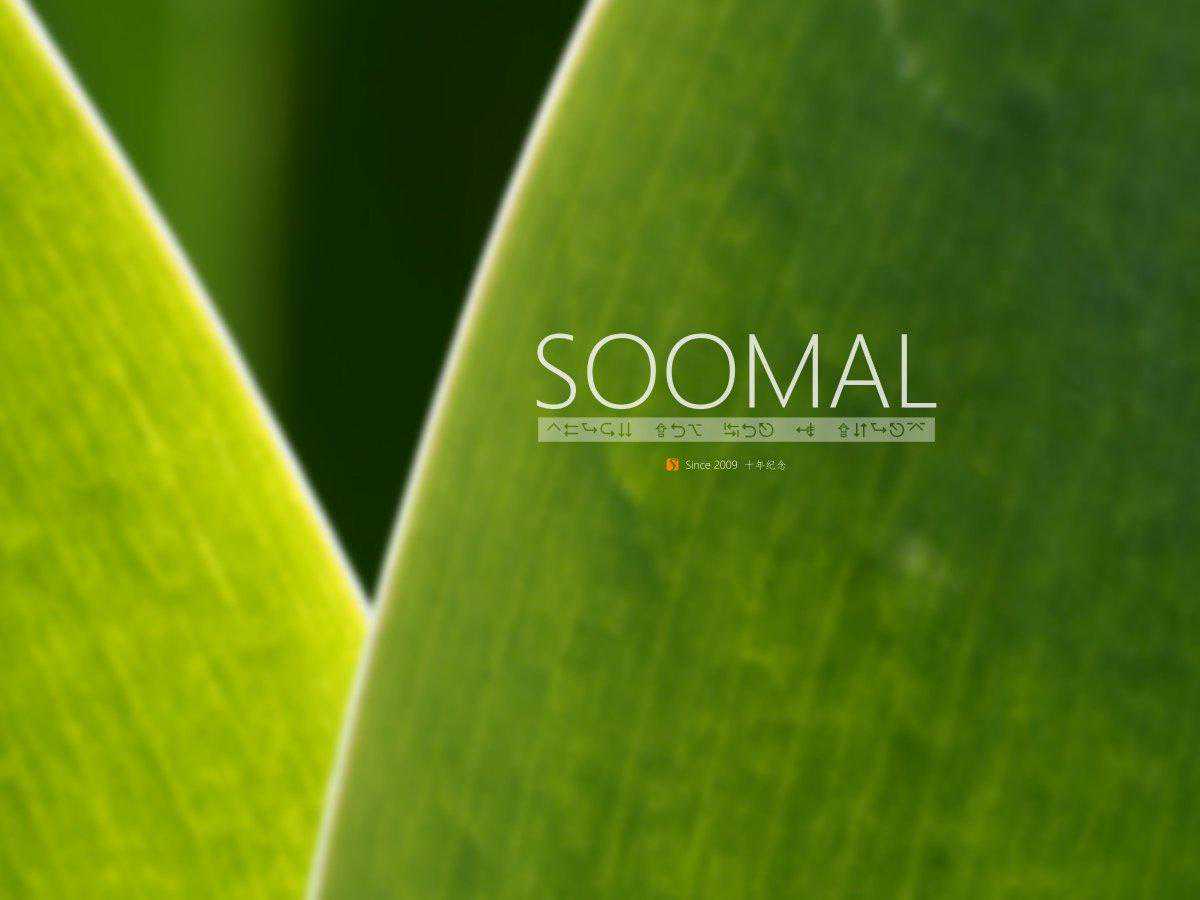 Soomal十年推荐评级幕后回忆录50条  「Soomal」