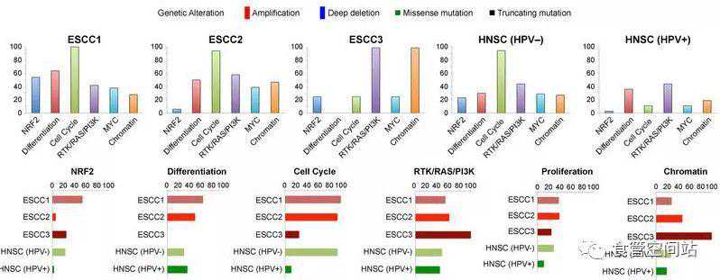 扒一扒我国食管鳞癌的真面目：基因组学特征分析
