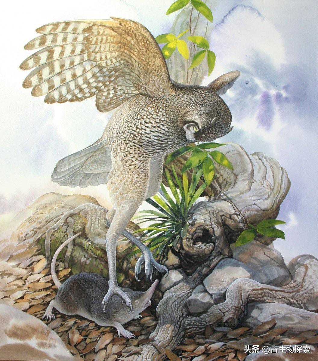 史前恐怖猫头鹰，能用利爪杀死孩子