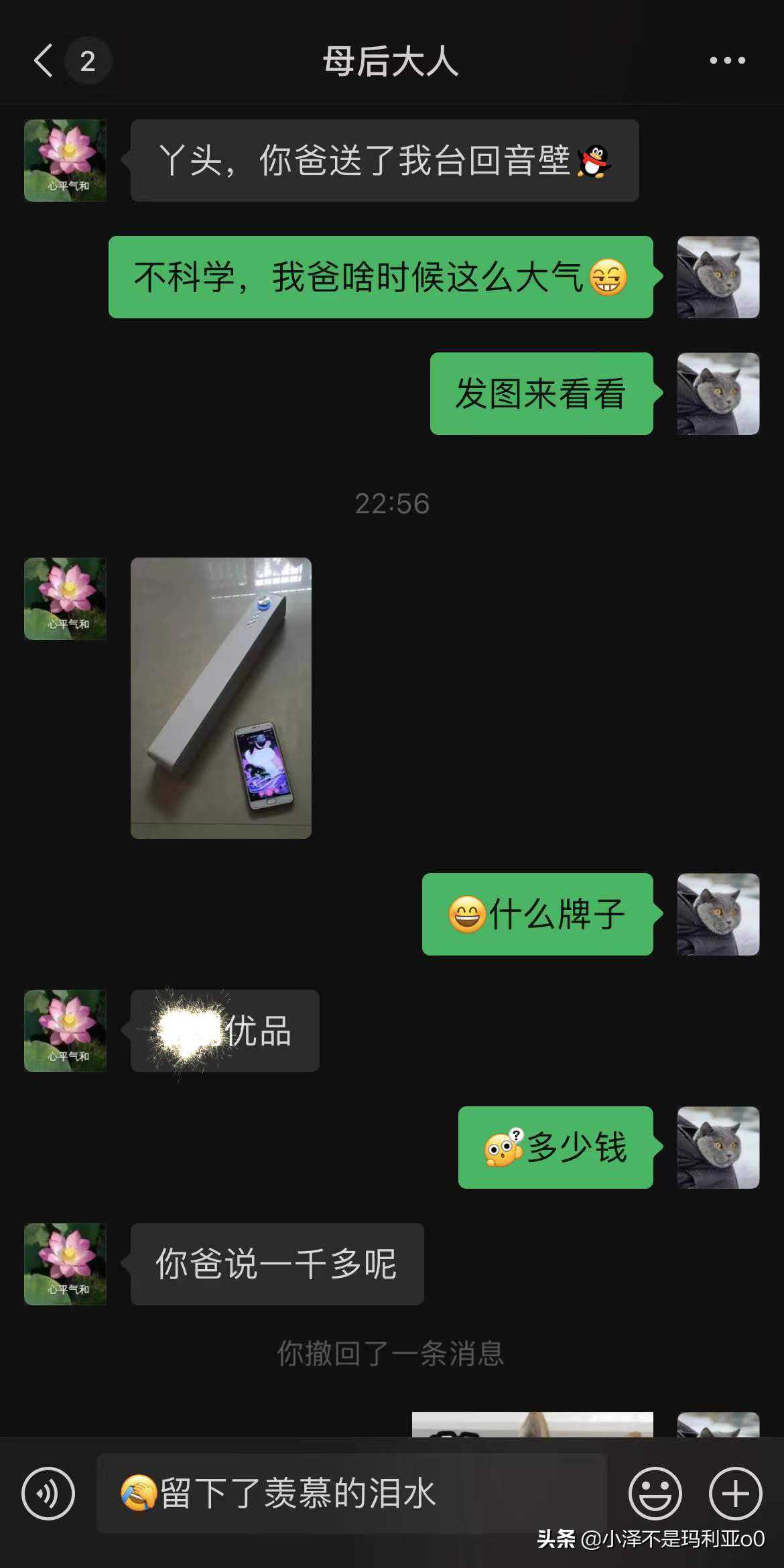 别再把条形音响当回音壁了！深入浅出，手把手教你分辨真假回音壁