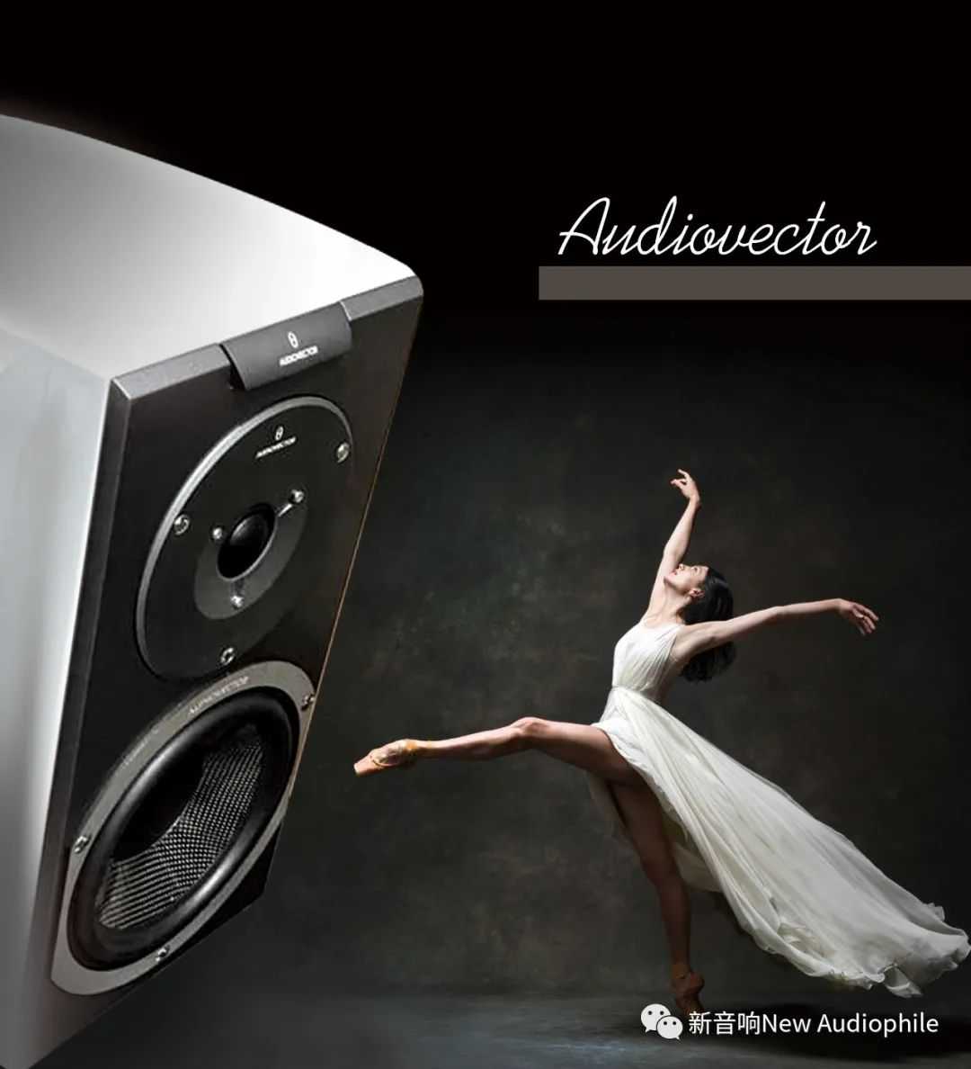 丹麦Audiovector（傲力）R1签名版书架音箱原创