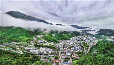 七年观察：留坝的抉择