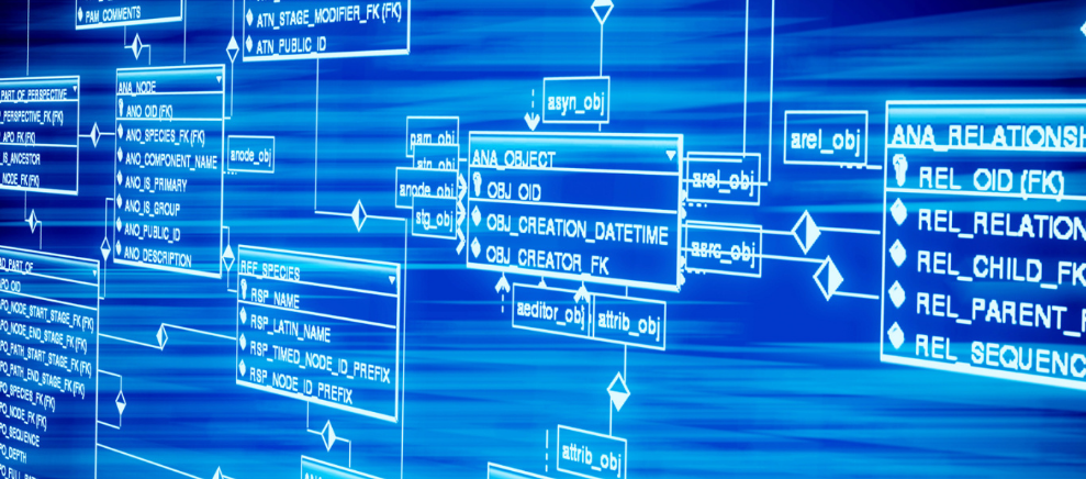 朝阳科技：预计2022年1-6月盈利，净利润同比增215.05%至362.07%